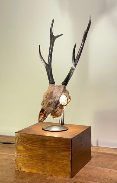 Trophée de chasse en bois avec des cornes sur une base en bois.